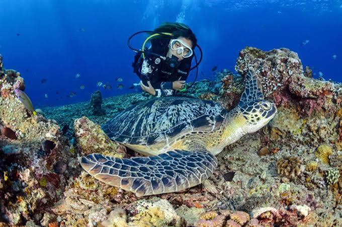 Apo Diver Beach Resort San Juan  Kültér fotó